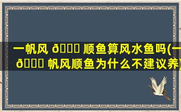 一帆风 🐅 顺鱼算风水鱼吗(一 🐅 帆风顺鱼为什么不建议养)